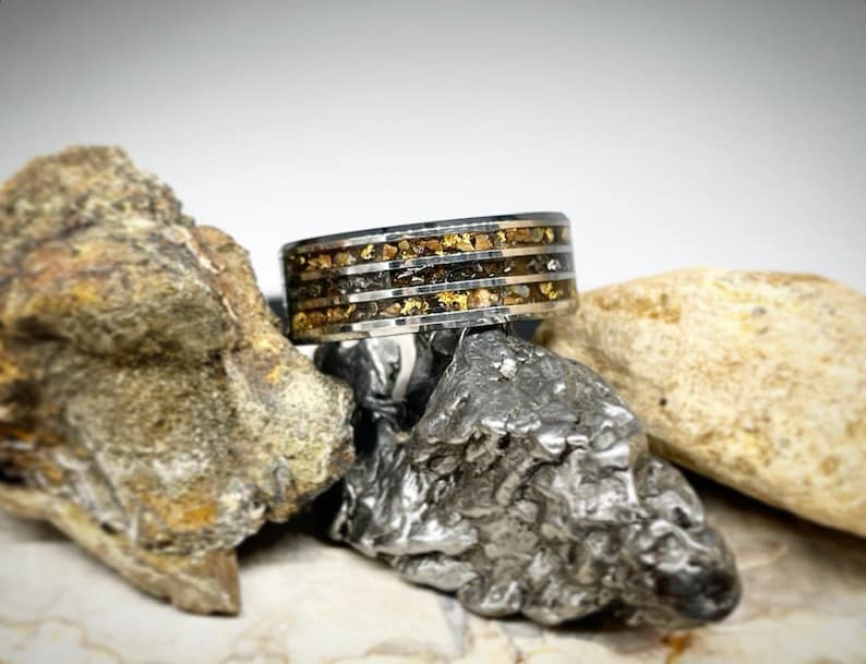 Dinosaur Bone and Meteorite Ring